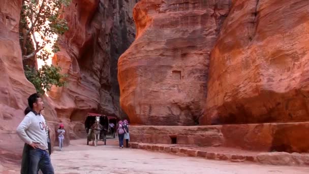 Petra Jordan Circa 2016 Ruins Surroundings Petra Capital Nabataean Arabs — Vídeo de stock