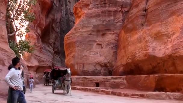 Petra Jordan Circa 2016 Ruins Surroundings Petra Capital Nabataean Arabs — Video Stock