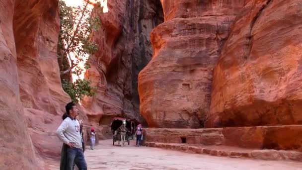 Petra Jordan Circa 2016 Ruins Surroundings Petra Capital Nabataean Arabs — Vídeos de Stock