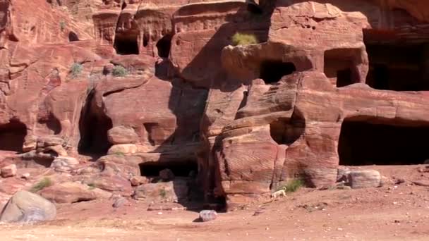 Petra Jordan Circa 2016 Ruins Surroundings Petra Capital Nabataean Arabs — Stockvideo