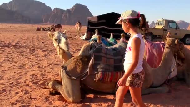 Unbekanntes Touristenmädchen Mit Kamelen Der Wüste Wadi Rum Haschemitischen Königreich — Stockvideo