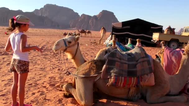 Unidentified Tourist Girl Camels Wadi Rum Desert Hashemite Kingdom Jordan — Αρχείο Βίντεο