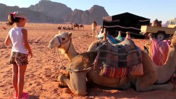 Neznámé Turistické Děvče Velbloudy Poušti Wadi Rum Jordánském Hášimovském Království — Stock video