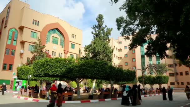 Female Students Islamic University Gaza Gaza City West Bank Largest — Stok video