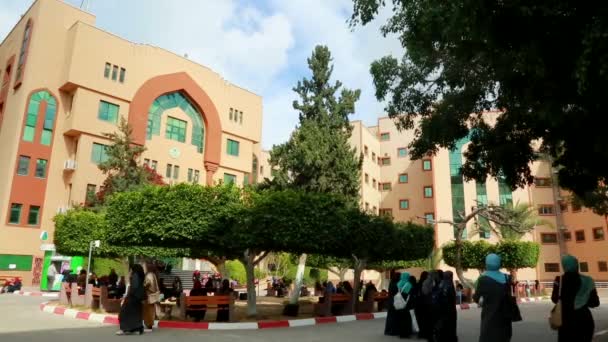 Female Students Islamic University Gaza Gaza City West Bank Largest — 图库视频影像