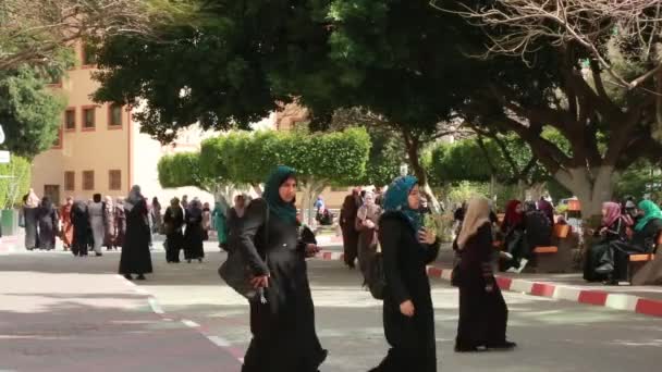 Female Students Islamic University Gaza Gaza City West Bank Largest — ストック動画
