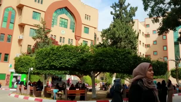 Female Students Islamic University Gaza Gaza City West Bank Largest — Video Stock