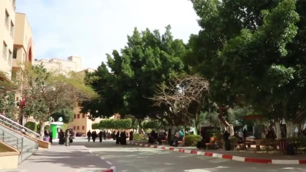 Female Students Islamic University Gaza Gaza City West Bank Largest — Stock Video