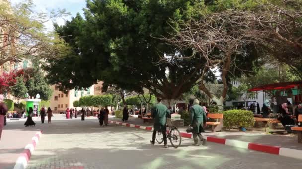 Female Students Islamic University Gaza Gaza City West Bank Largest — Stockvideo