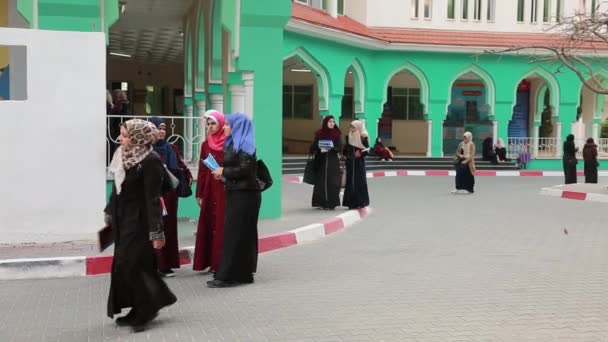 Female Students Islamic University Gaza Gaza City West Bank Largest — ストック動画