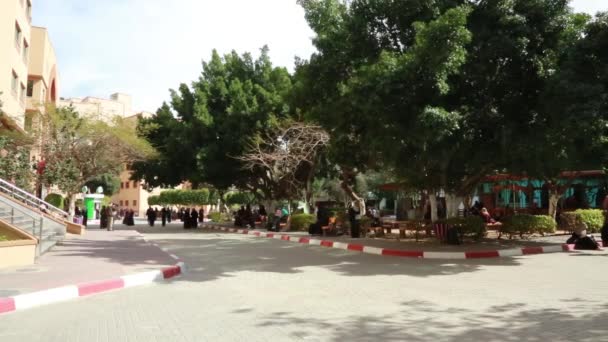 Female Students Islamic University Gaza Gaza City West Bank Largest — ストック動画