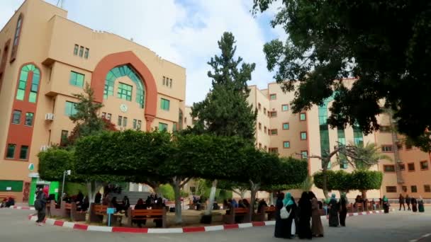Female Students Islamic University Gaza Gaza City West Bank Largest — Video Stock