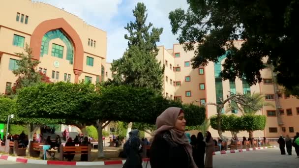 Female Students Islamic University Gaza Gaza City West Bank Largest — Stock videók