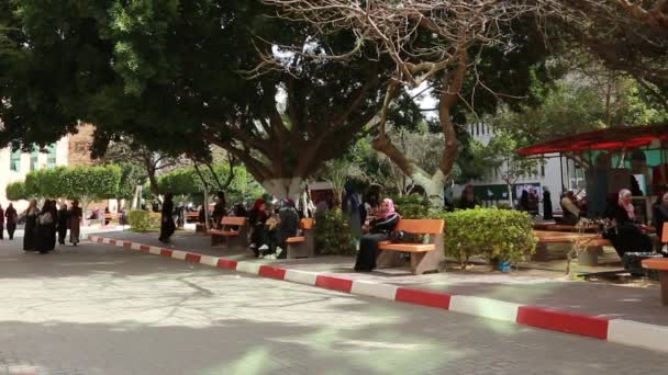 Female Students Islamic University Gaza Gaza City West Bank Largest — Stockvideo