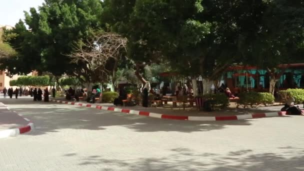 Female Students Islamic University Gaza Gaza City West Bank Largest — Vídeo de Stock