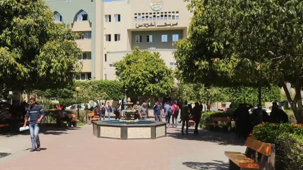 Students Islamic University Gaza Gaza City West Bank Largest City — ストック動画