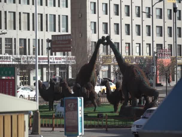 Street Scene Erlian Inner Mongolia Province China 2021 — Stock Video