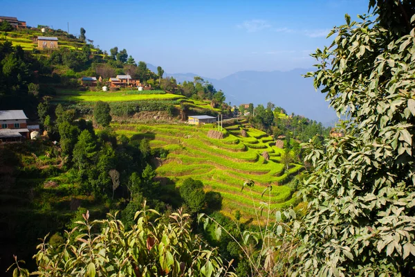 Terasz Művelt Domboldal Bungamati Faluban Nepálban — Stock Fotó