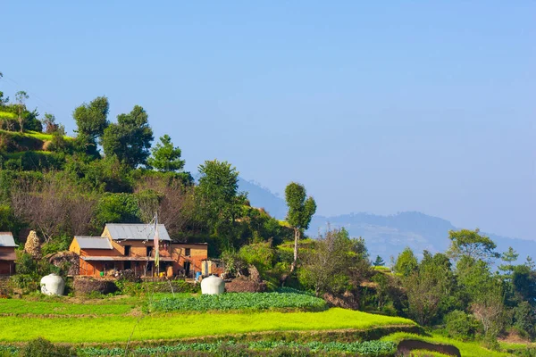 Terraced Cultivated Hillside Bungamati Village Nepal — Stock Photo, Image