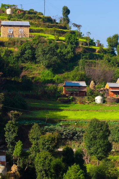 Terrazas Ladera Cultivada Aldea Bungamati Nepal — Foto de Stock