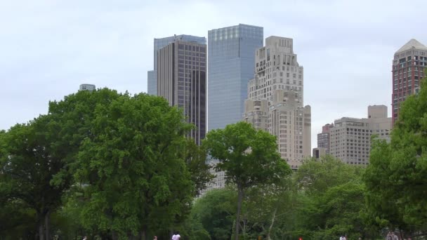People Central Park Manhattan New York City Usa — Vídeos de Stock