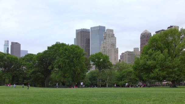 People Central Park Manhattan New York City Usa — стоковое видео