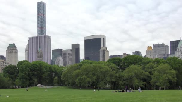 People Central Park Manhattan New York City Usa Time Lapse — стоковое видео
