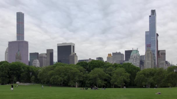 People Central Park Manhattan New York City Usa — Vídeos de Stock