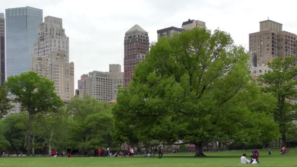 People Central Park Manhattan New York City Usa — Vídeos de Stock