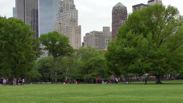 People Central Park Manhattan New York City Usa — Vídeo de stock