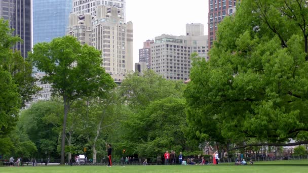 People Central Park Manhattan New York City Usa — Vídeo de Stock