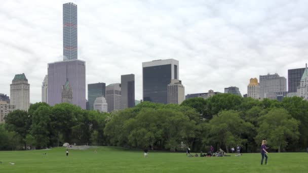 People Central Park Manhattan New York City Usa — Stock video