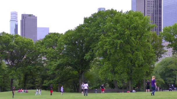 People Central Park Manhattan New York City Usa — Video