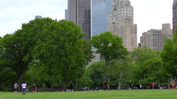 People Central Park Manhattan New York City Usa — Αρχείο Βίντεο
