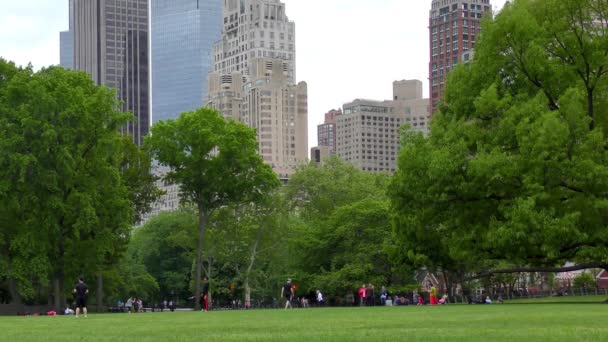 People Central Park Manhattan New York City Usa — Αρχείο Βίντεο