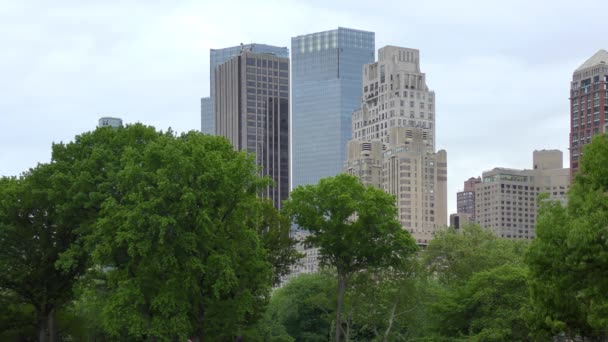 Central Park Manhattan New York City Usa — стоковое видео