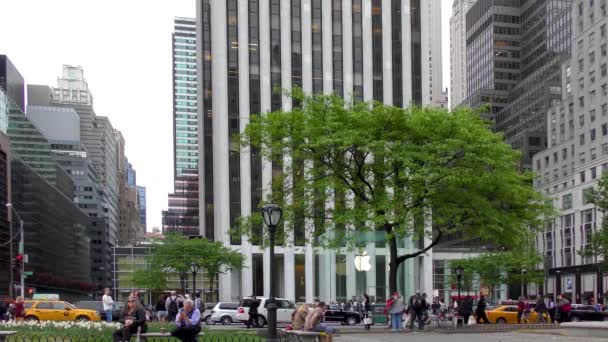 Pessoas Pulitzer Plaza Quinta Avenida Manhattan Nova Iorque Eua — Vídeo de Stock