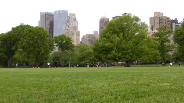 People Central Park Manhattan New York City Usa — Stockvideo