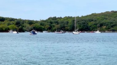 Hırvatistan 'ın Rovinj kentindeki Adriyatik Denizi