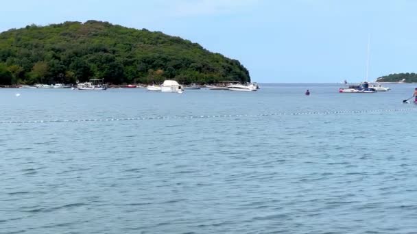 Адріатичне Море Ровіні Хорватія — стокове відео