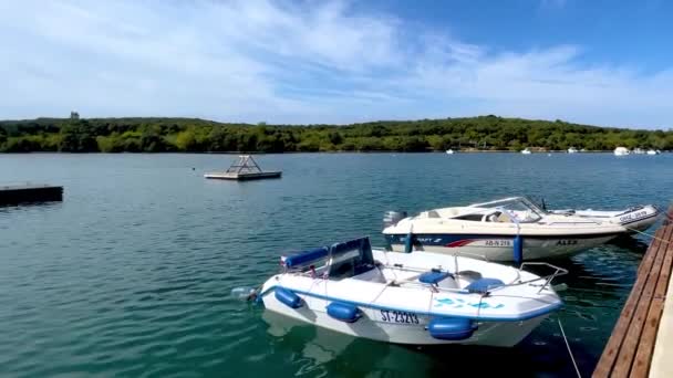 克罗地亚Rovinj亚得里亚海 — 图库视频影像