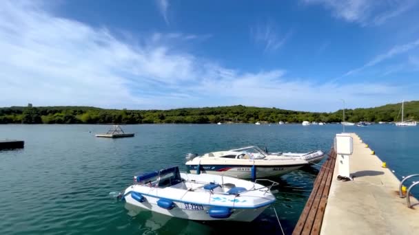 Mar Adriático Rovinj Croacia — Vídeo de stock