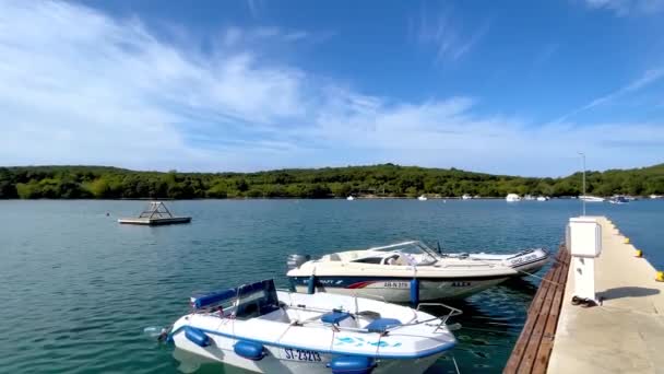 Adriatiska Havet Rovinj Kroatien — Stockvideo