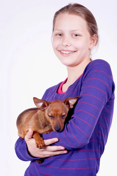 Adolescente avec chien dans ses mains, plan studio — Photo