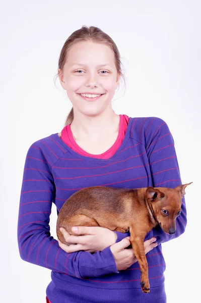 Adolescente chica con perro en sus manos, estudio de tiro — Foto de Stock