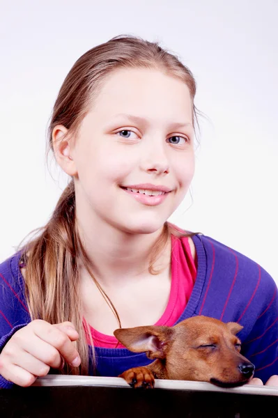 Adolescente chica con perro en sus manos, primer plano — Foto de Stock
