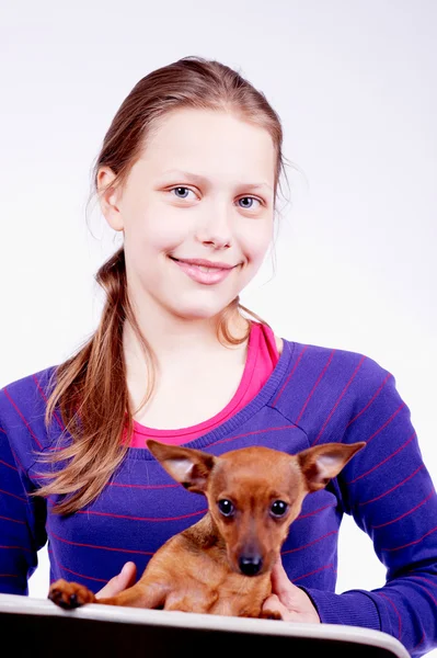 Teen girl with dog in her hands, closeup — Stock Photo, Image