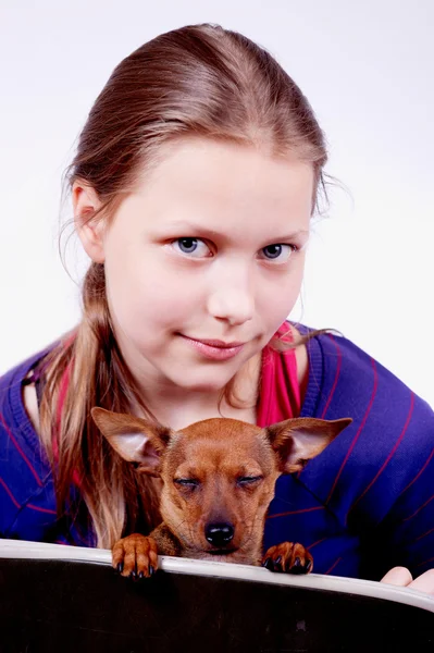 Teen girl with dog in her hands, closeup — Stock Photo, Image