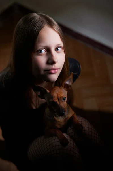 Portrait of a teen girl with dog — Stock Photo, Image