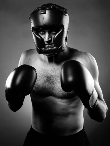 Strong aggressive boxer — Stock Photo, Image